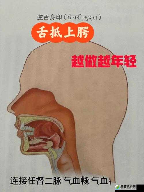 把舌头伸出来呼吸舒服一点：探索新的呼吸方式