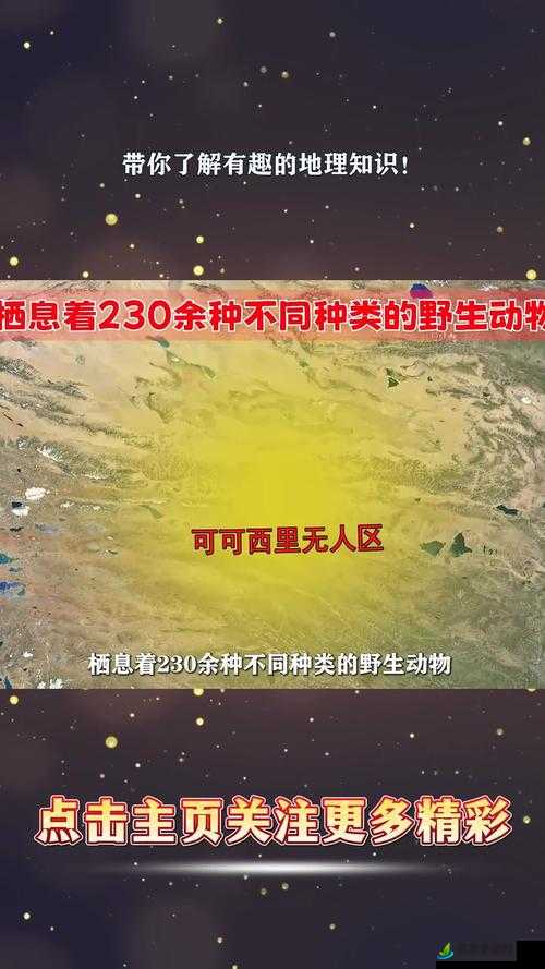 亚洲无人区码一码二码三码四码：探险者的禁地