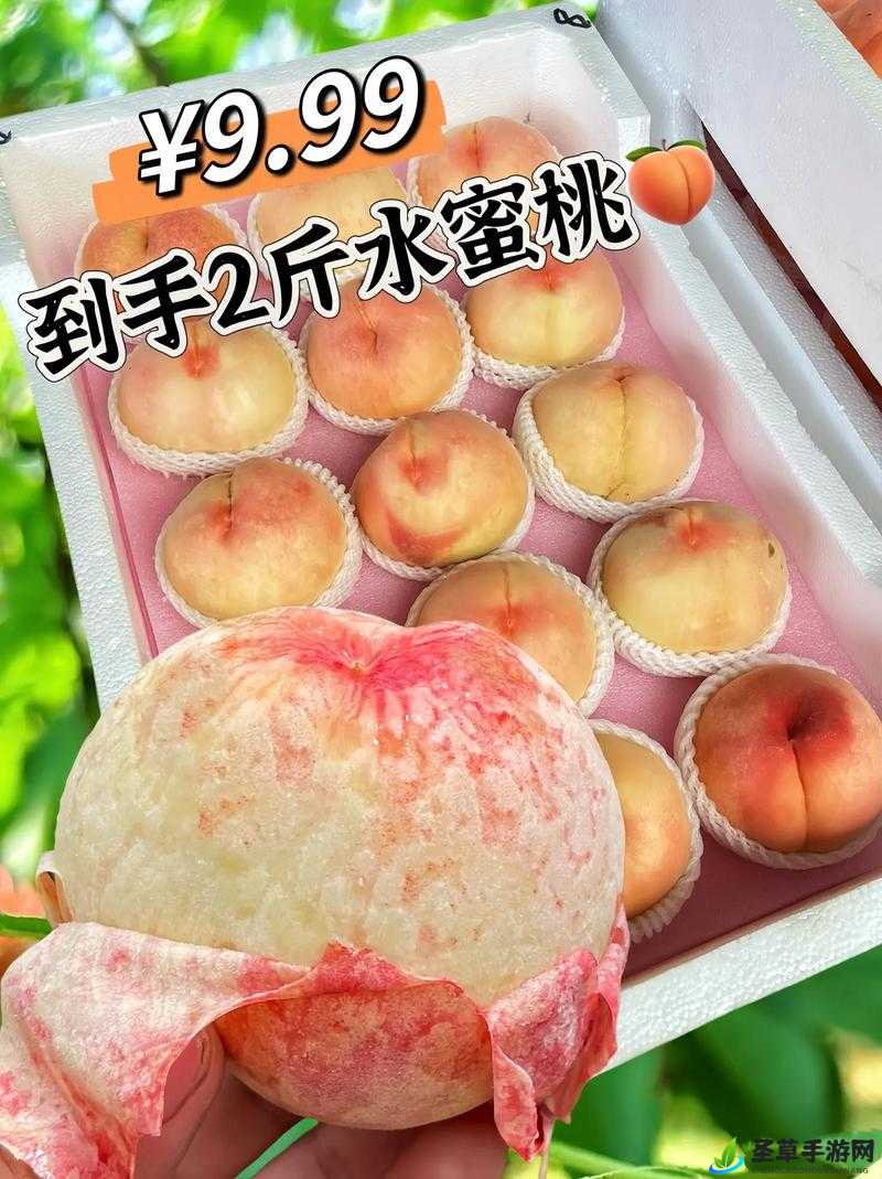 国精产品水蜜桃久久精品：回味无穷的美味享受