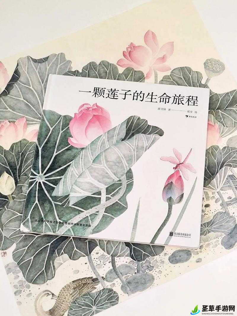 盈盈 64：探索生命的完整性