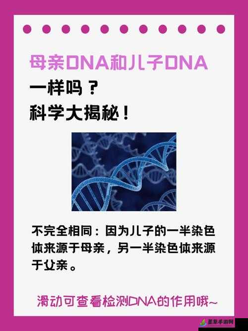 母亲 DNA 与儿子 DNA 一致的奥秘