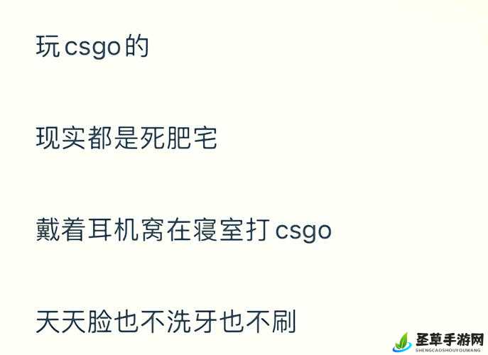 暴躁老阿姨 csgo 经典片段：精彩瞬间