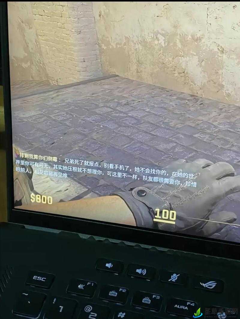 老婆不在家一个人寂寞CSGO：畅玩时刻