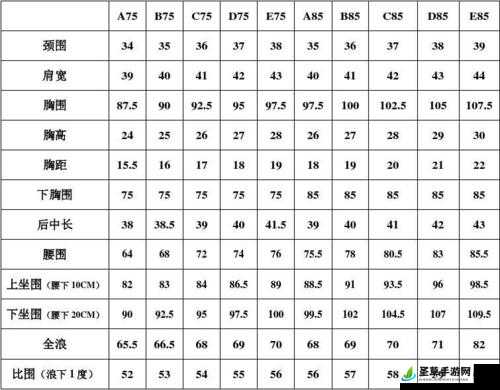 欧洲一码二码是什么意思-