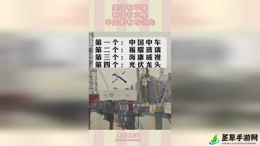 国精产品秘天美一区二区三区：探索精彩世界