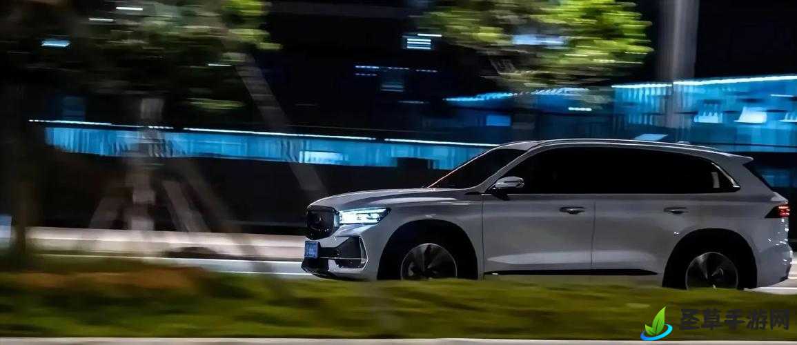 国产 SUV 精品 201：畅享极致驾驶体验