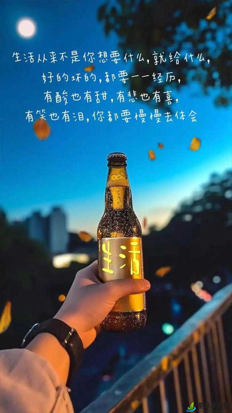 又是被了的一天：平淡如水