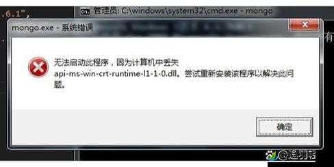 解决侍道 4PC 版停止工作及 runtime error 的方法