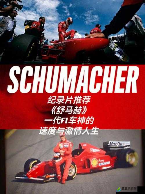 F1 22冠军版与标准版全面对比，探索速度与激情的终极对决差异