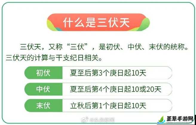 2022年三伏天，烈日炎炎下的炽热篇章，挑战高温极限