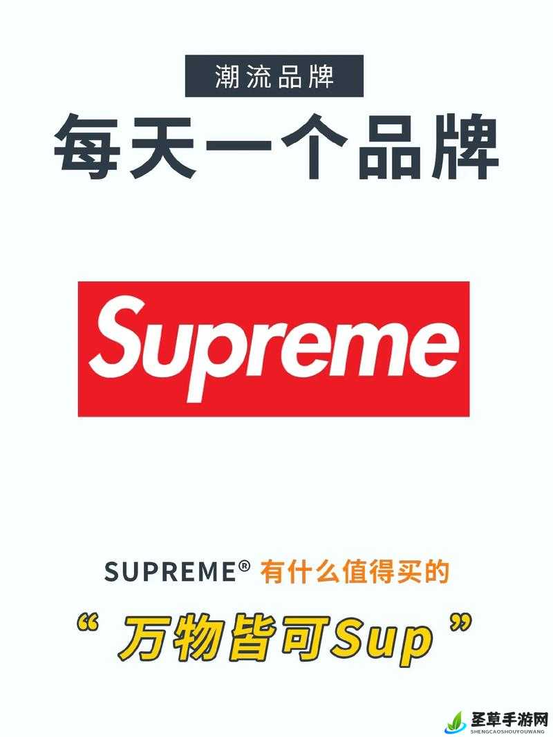 Supreme 国产版本：时尚潮流的新兴力量来袭