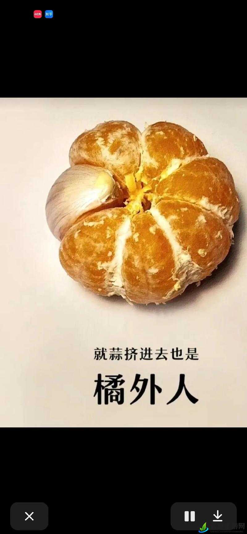 大爷是在帮你排毒：这是对你有益处的行为啊