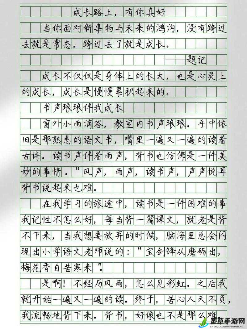 让叔叔看看你有没有长大作文：见证成长与蜕变的时刻