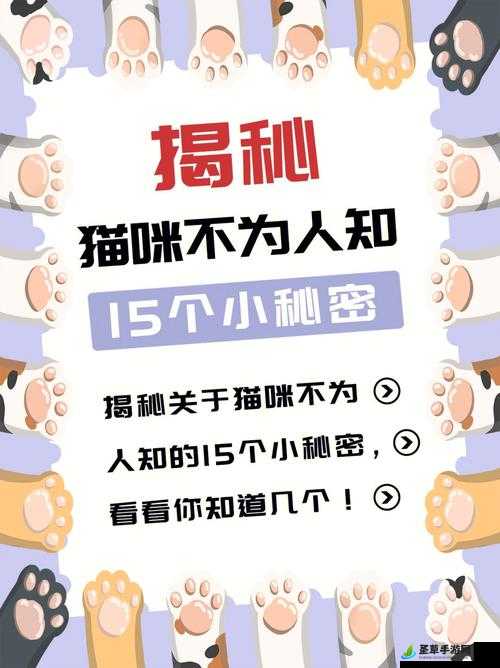 黑料吃瓜官网入口：带你探索更多不为人知的秘密