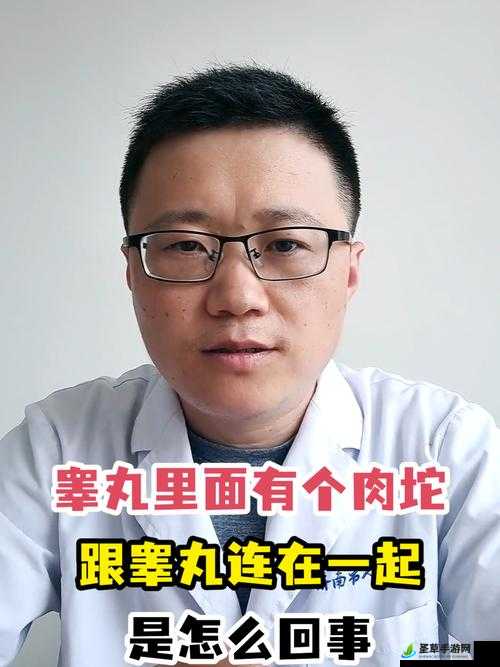 睾丸进入子宫里面长肉粒是否正常：需警惕异常情况