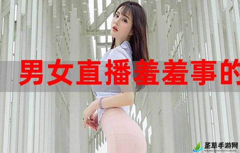 男女一上一下软件：一款独特的互动体验应用