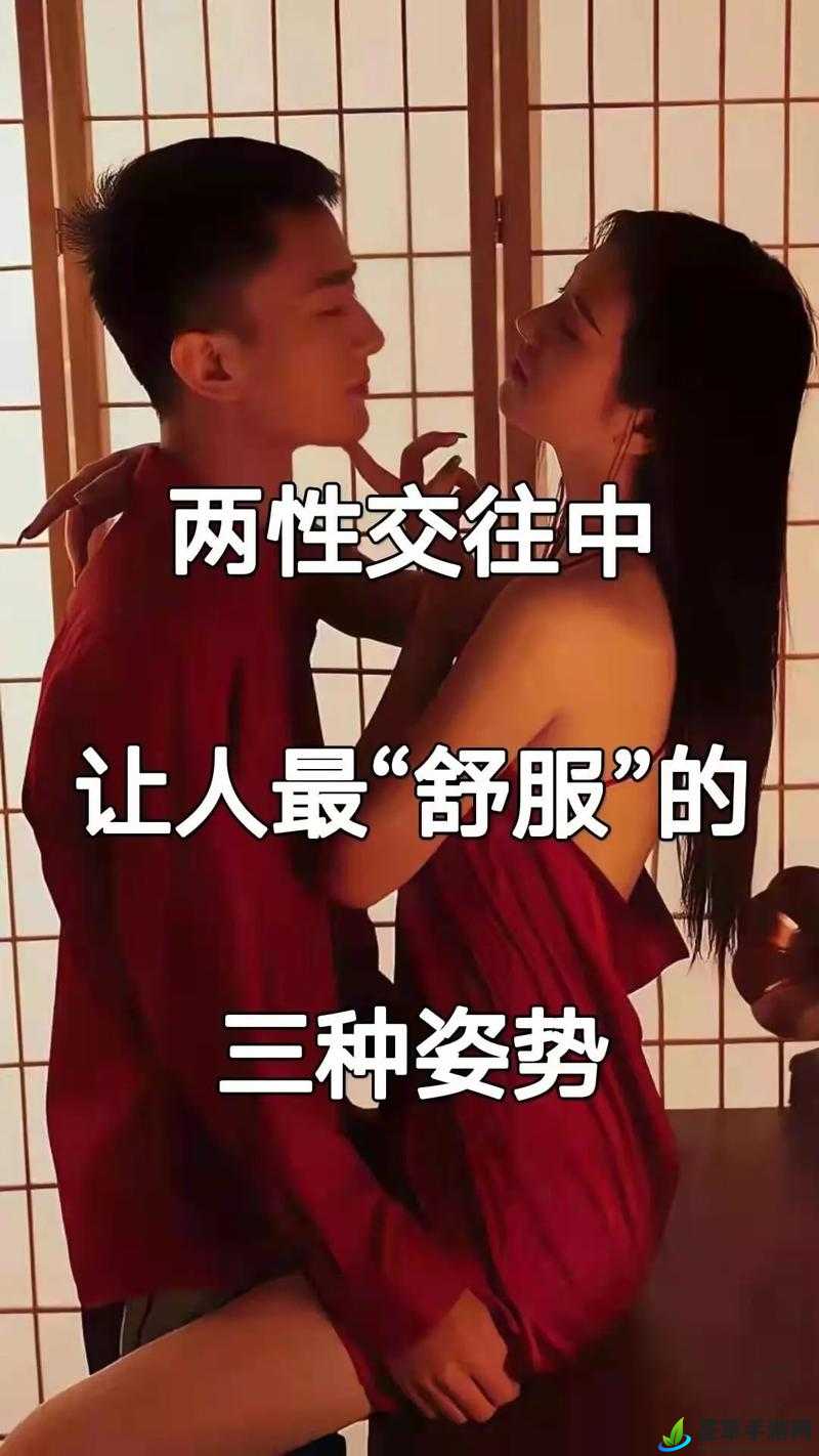 男桶女：探索两性关系的奥秘