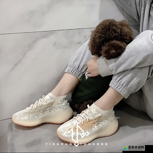 Yeezy380 引领时尚潮流的酷炫潮鞋新宠