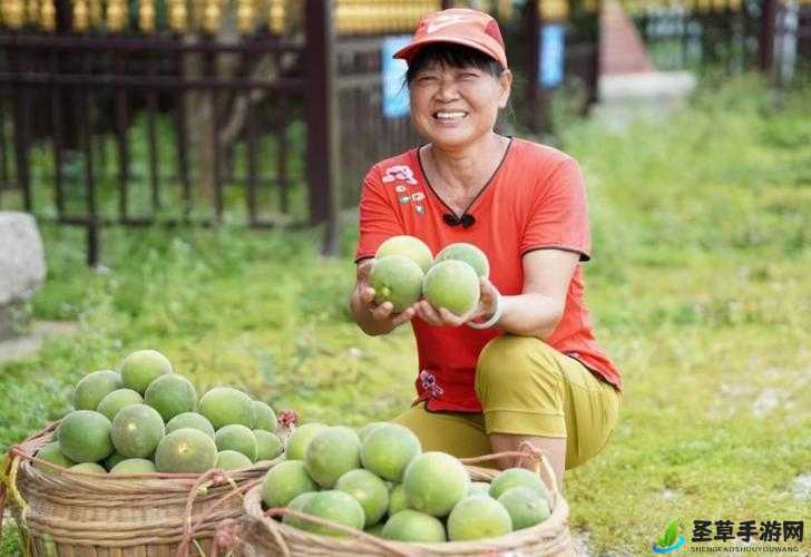 海角大神和妈妈外婆是谁的孩子：探寻家族关系之谜