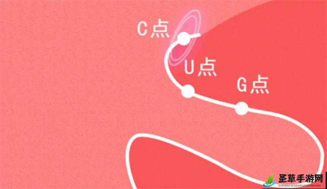 没有工具如何实现自 w 到高 c 的方法探讨