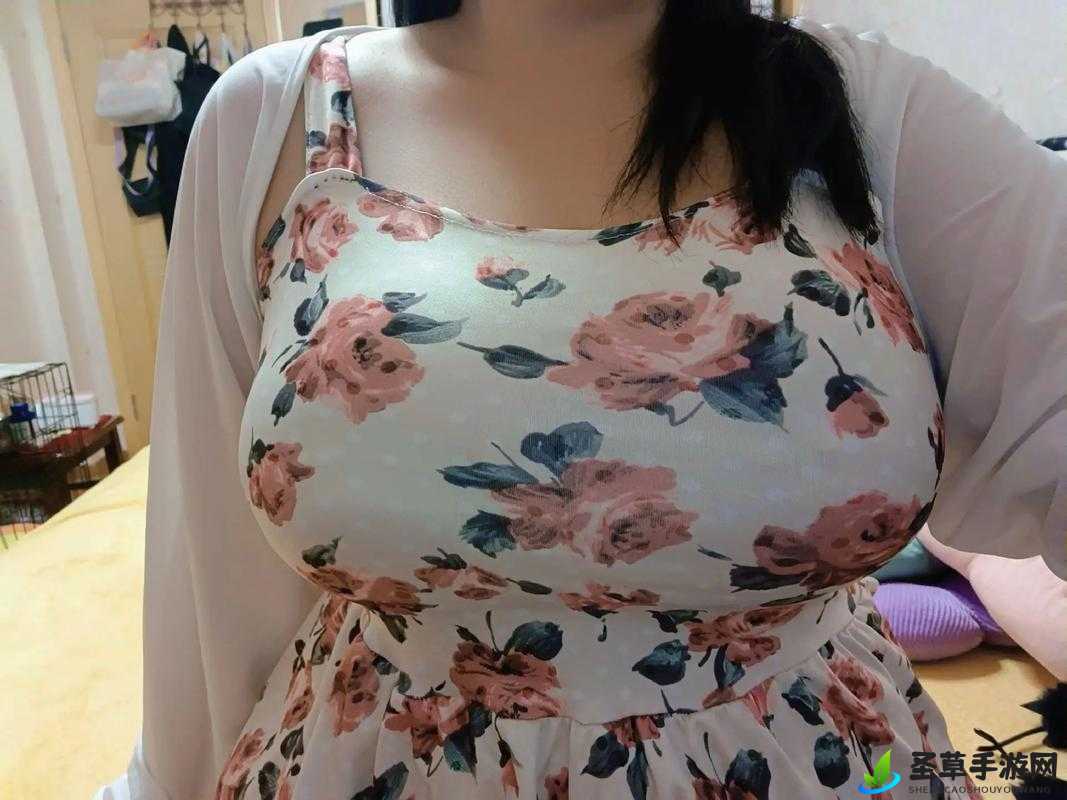 胖老太 BBwBBWBBWBBW：她的故事和魅力