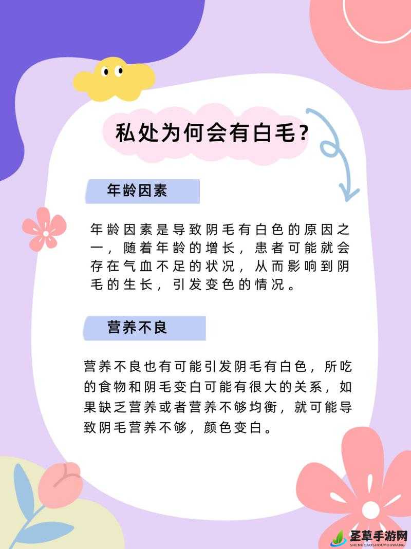 大毛毛是什么意思？网络用语大揭秘