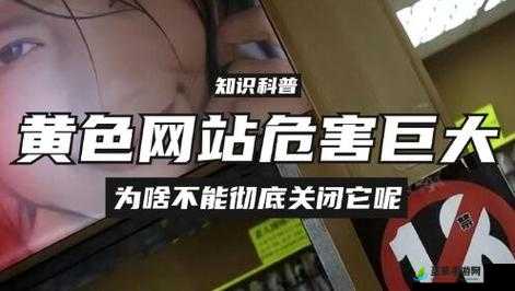 涉黄网站：传播不良内容危害社会健康需严厉打击