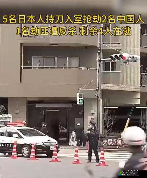 吴梦梦：小偷入室盗窃遭女业主反杀