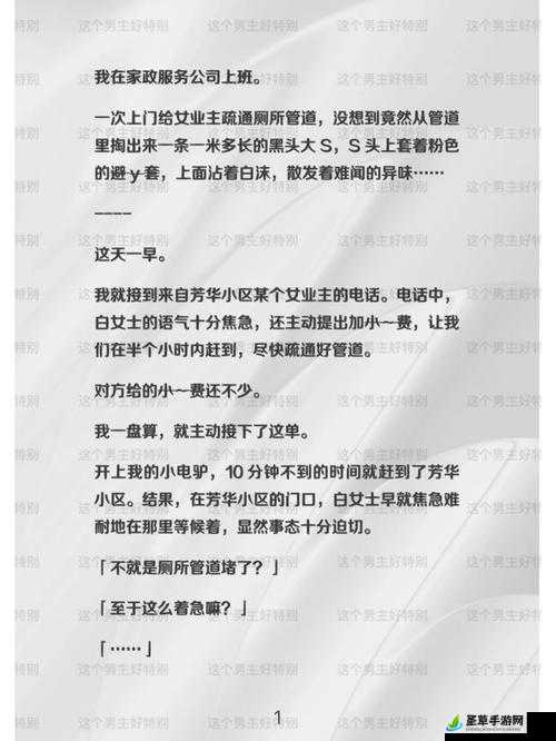 白洁高义 85 背后的神秘故事与深刻内涵