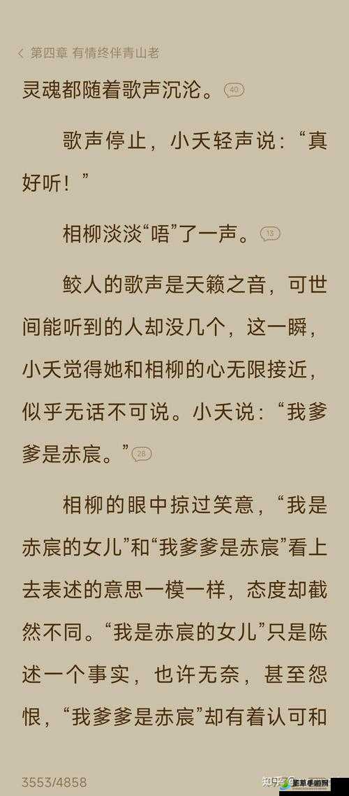 小夭堕落带来极致快感的沉沦故事