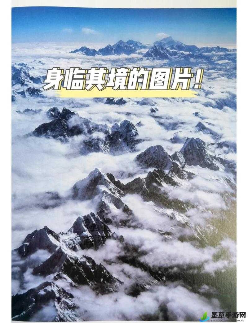 一本久 ：带你领略精彩绝伦的知识世界之旅