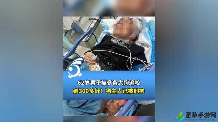 男子与狗被困电梯 6 小时：救援过程惊心动魄