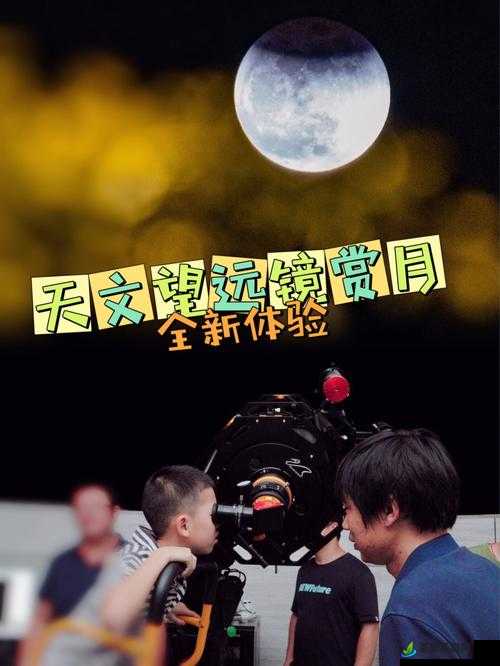 夜月直播视频在线播放不断升级：持续优化带来全新体验