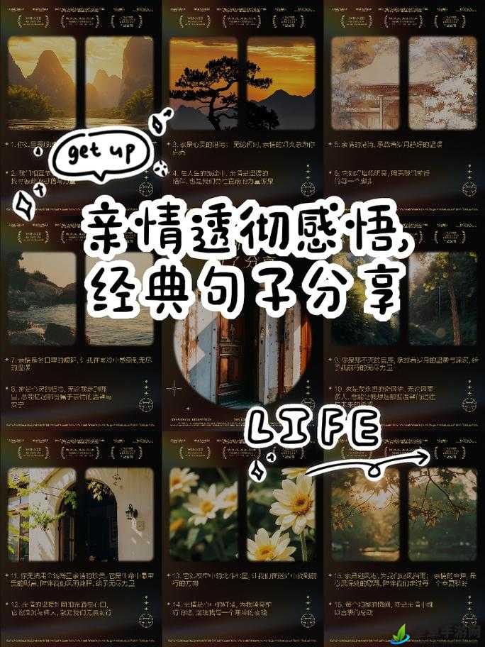 离婚的女儿满足我：亲情陪伴与心灵慰藉的温暖篇章