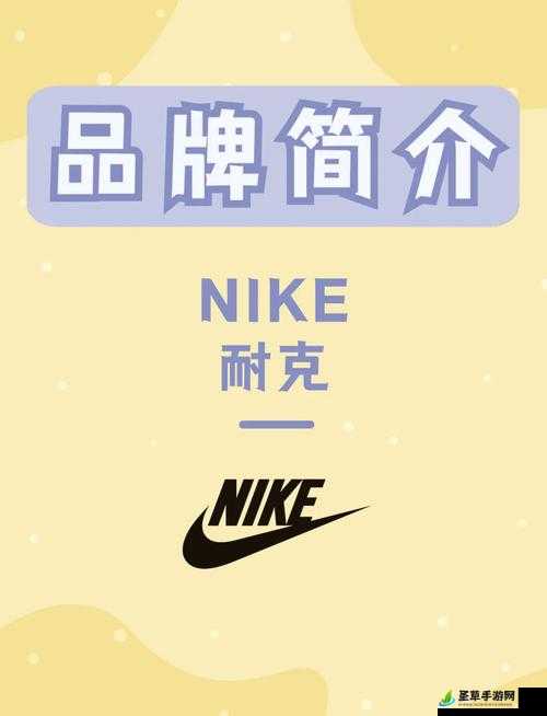 成品站 nike 源码免费：让你轻松拥有耐克相关资源的绝佳机会