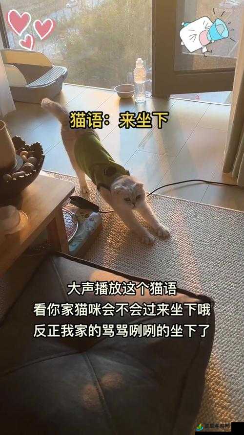 乖乖坐下来不要乱动不然会摔倒哦