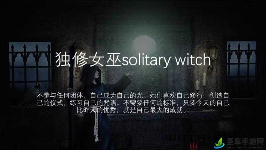 可爱的女巫3Adorable Witch 3价格全面揭秘，为您的奇幻冒险之旅精准预算规划