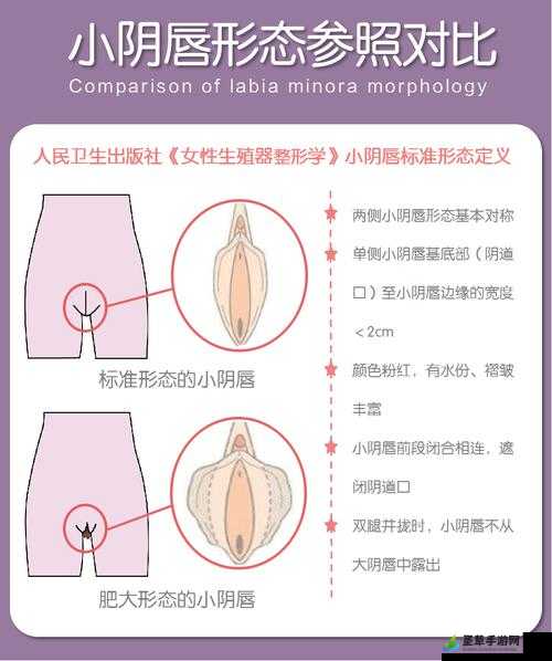 小阴囊唇一边大一边小能自己好吗：相关问题探讨与分析