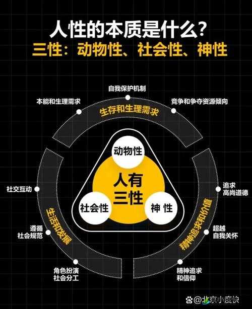 嘼皇Ⅴideos 极品另一类：兽性与人性的交织