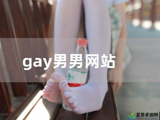 国产中文男男 gaygay 小说：一段别样的情感之旅