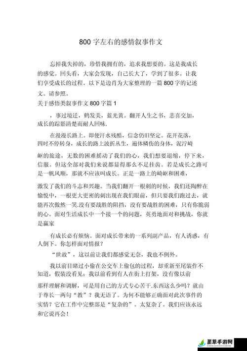 我的特殊经历：戴口球反绑手脚的 800 字作文