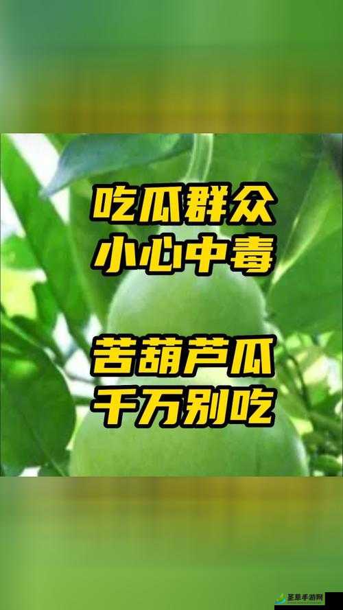 91 吃瓜吃最新最火的瓜-带你领略各种精彩吃瓜事件