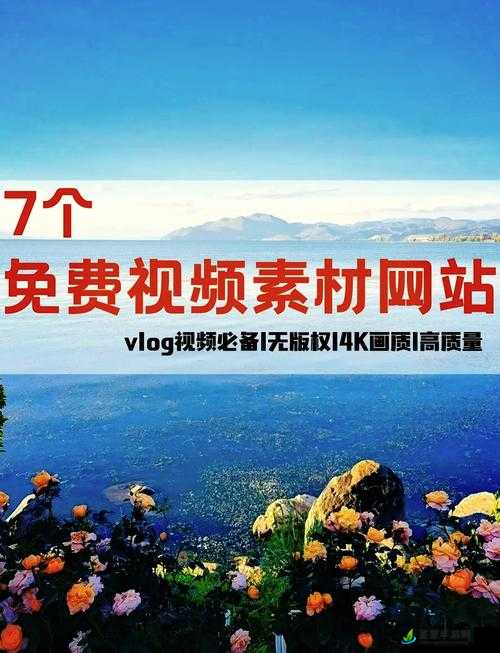 哔哩哔哩免费大全：涵盖海量视频资源的精彩宝库