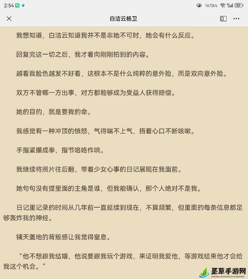 白洁与李明身着衬衣的奇妙故事