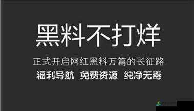 黑料不打烊2024：探寻背后真相与未来发展走向