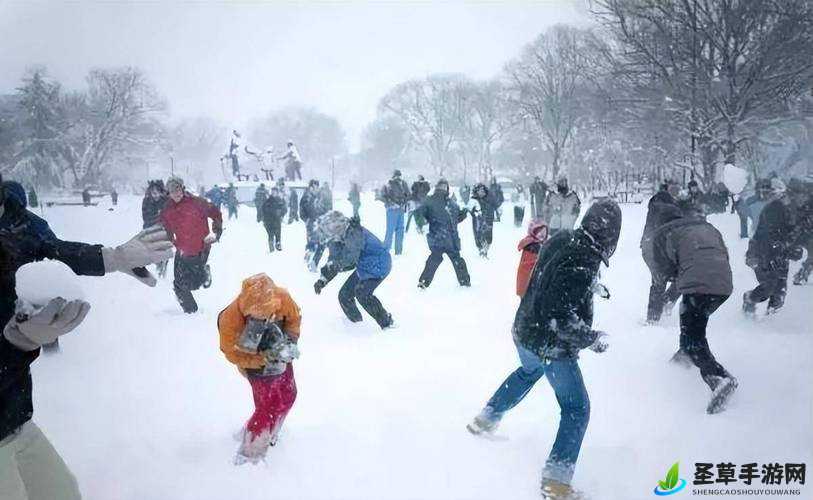 含羞草免费观看电视剧的背景故事，胸前两团大雪球跳跃时的奇妙景象