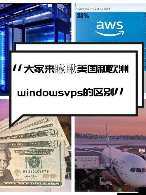 成品网站crm短视频&美国和欧洲 Windows VPS 有何区别？