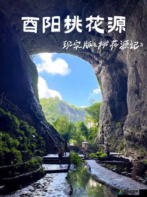 九幺黄9·1安装：打造完美旅行计划