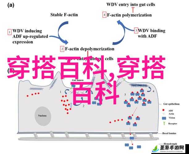 海角社区在线免费破解：关于其功能拓展与内容优化的探讨