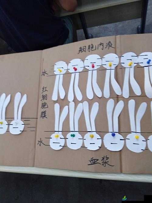 我成了生物课的教具篇 1,一段奇特的课堂经历